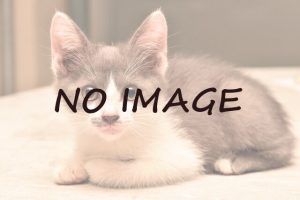 NO IMAGE画像